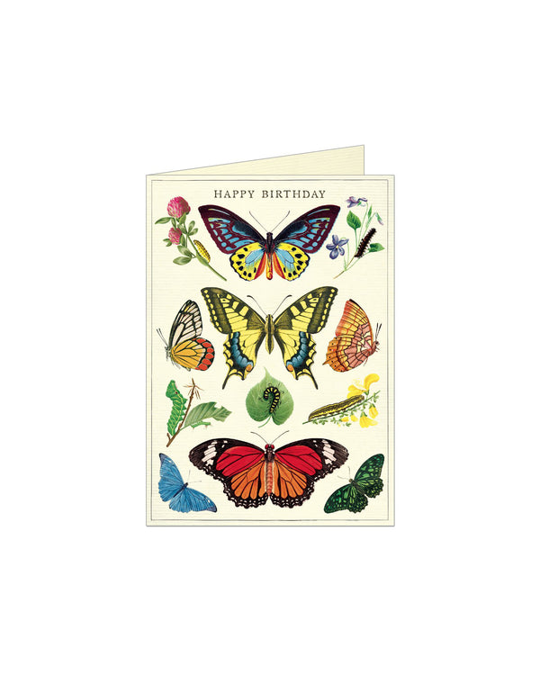 Cavallini Cards