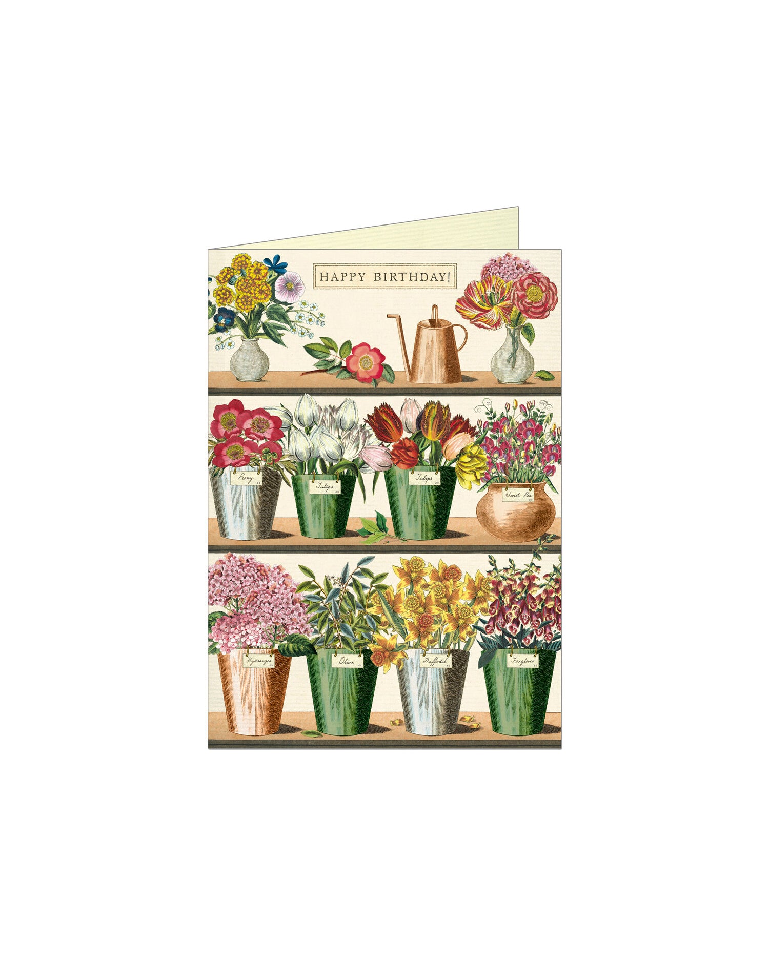 Cavallini Cards