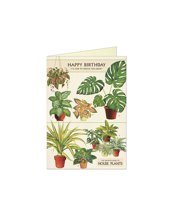 Cavallini Cards