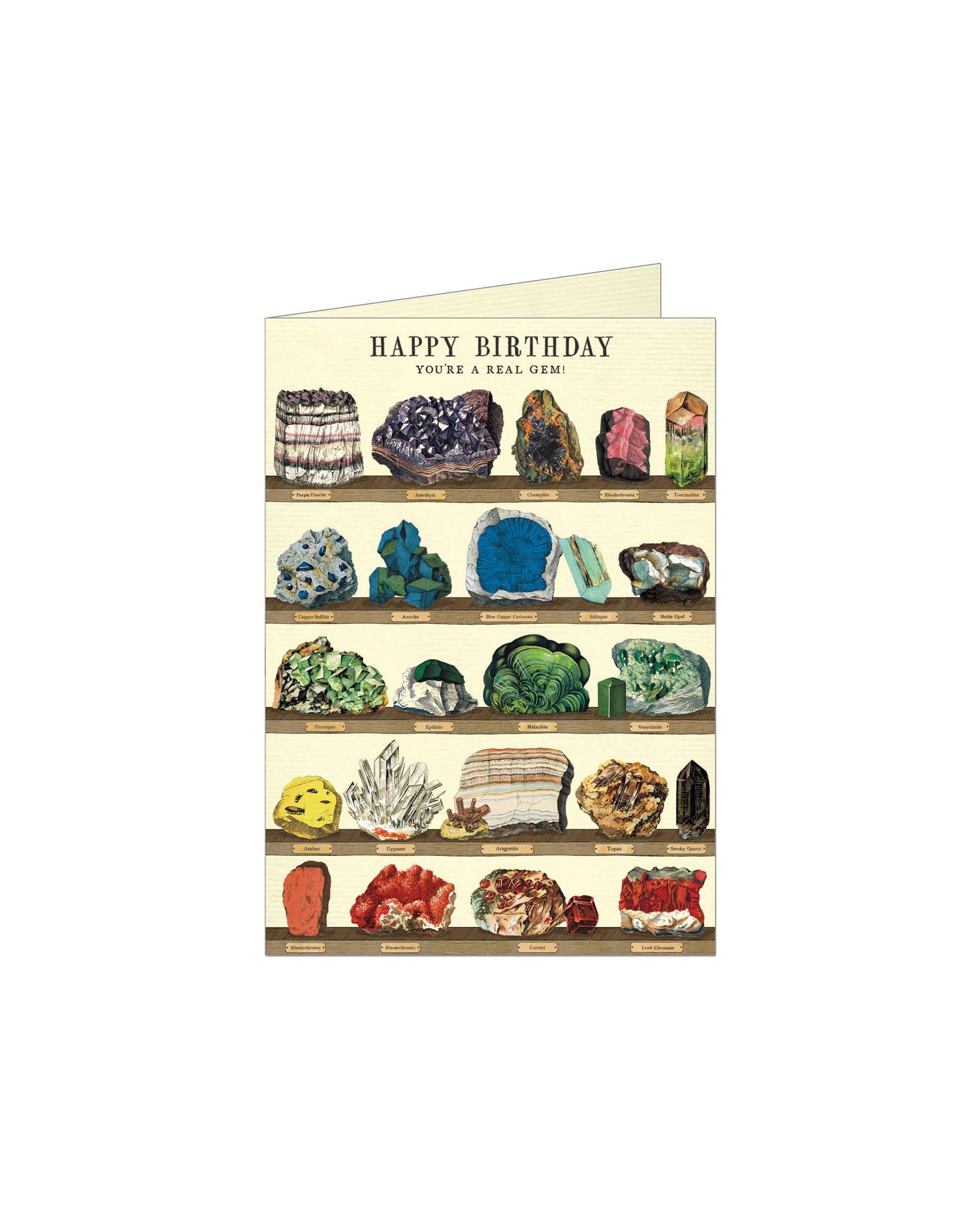 Cavallini Cards